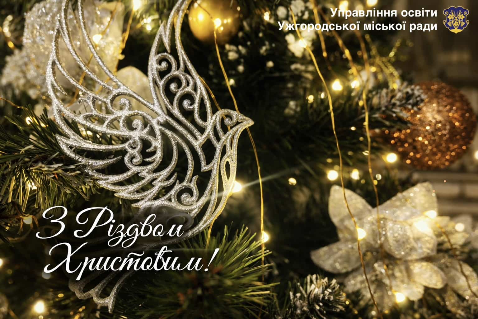 Зі Святвечором та прийдешнім Різдвом Христовим